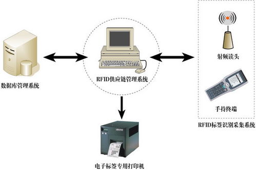 RFID物資管理系統(tǒng) 物聯(lián)網(wǎng)技術驅(qū)動的智能倉儲與追蹤革命